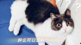 吃瓜cp娱乐圈直播,吃瓜CP甜蜜互动，粉丝直呼“磕到糖”